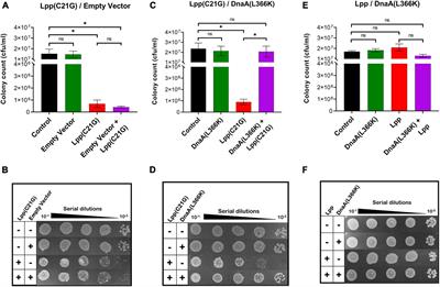 Membrane Stress Caused by Unprocessed Outer Membrane Lipoprotein Intermediate Pro-Lpp Affects DnaA and Fis-Dependent Growth